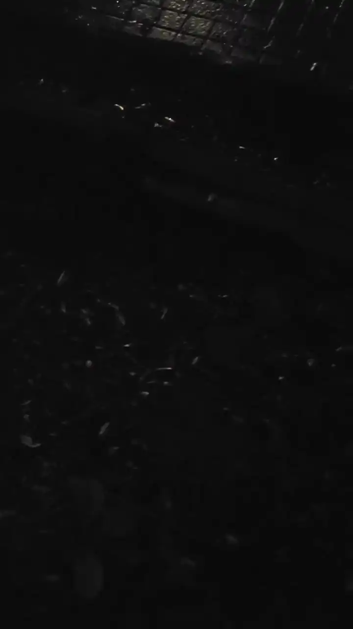 Melted555 – [Cam4] Fun Record Sweet Model – 2025-05-24 02:25:10