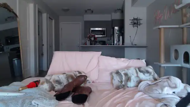 Alexiswildest – [Myfreecams] Surprise Lovely Amateur Art – 2025-10-14 16:17:41