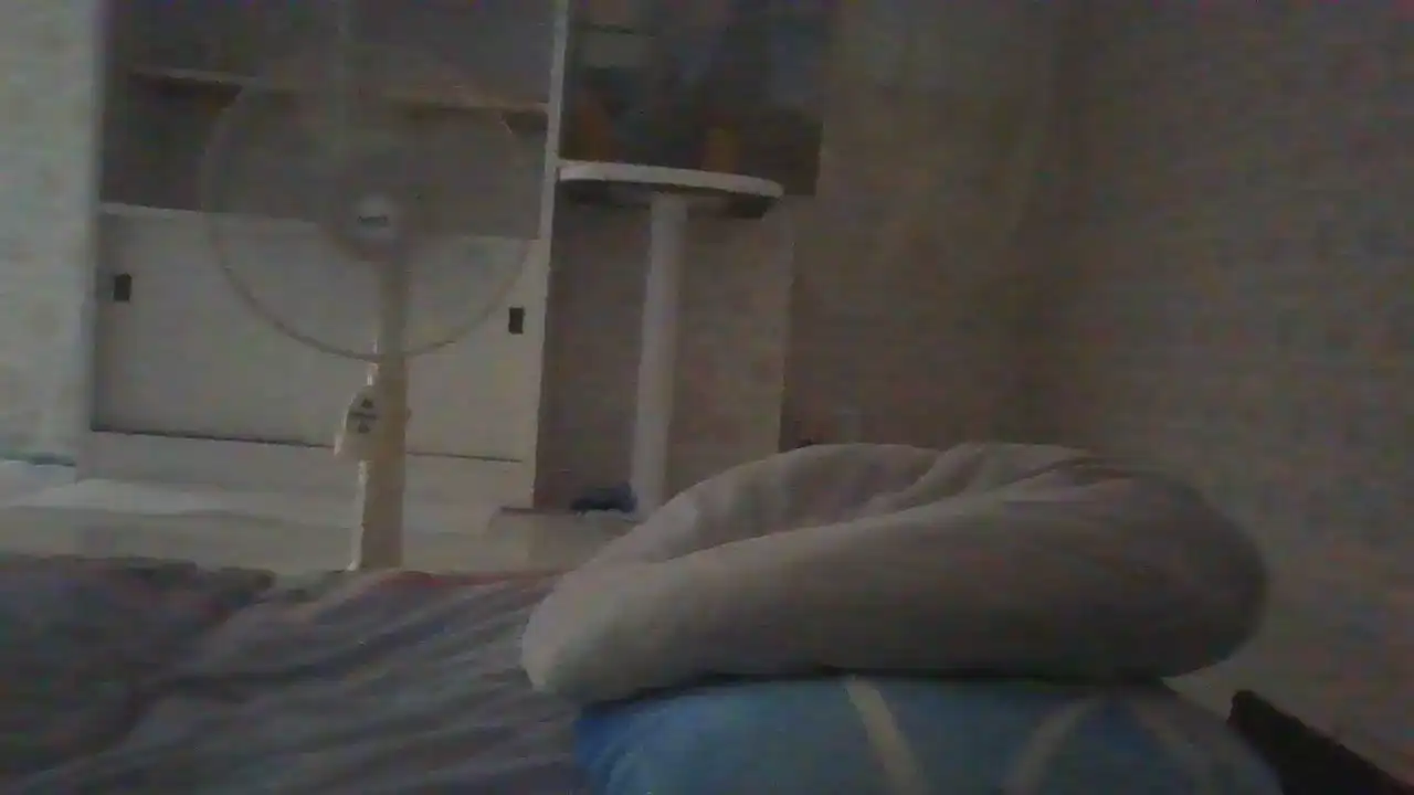 Leacat – [Sakuralive] Roleplay Playful Camera – 2025-01-18 12:33:44